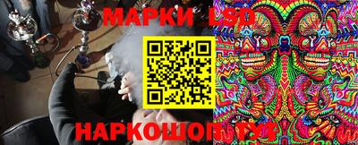 спайс Берёзовский