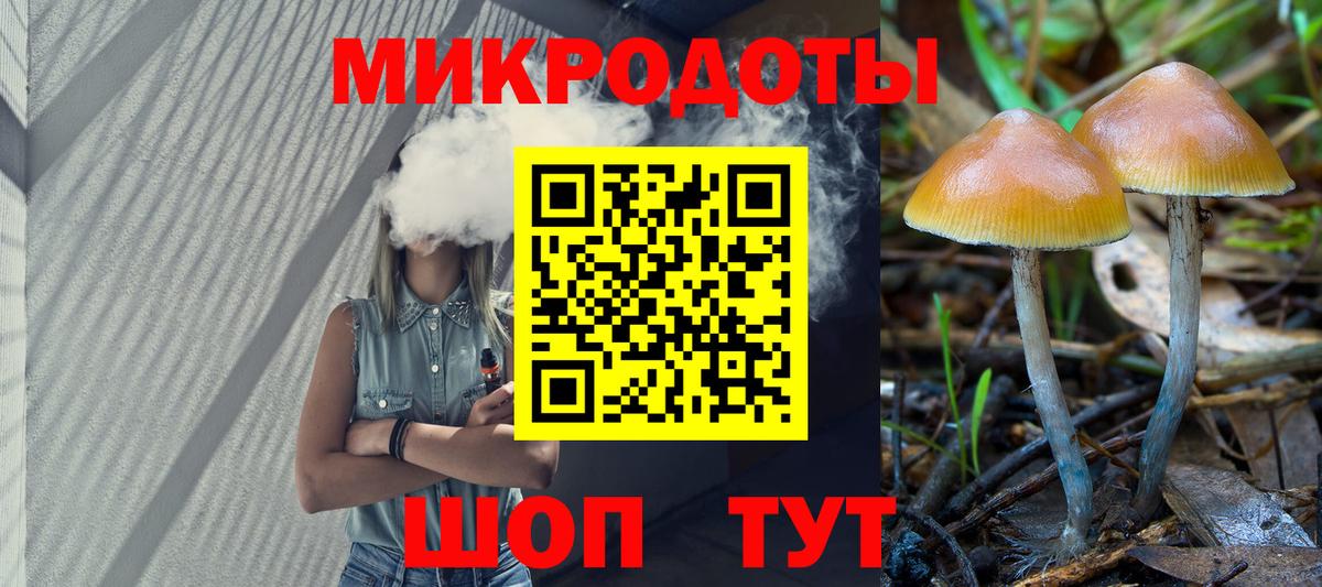 Псилоцибиновые грибы Cubensis  даркнет сайт  Ковров  Вход с VPN 