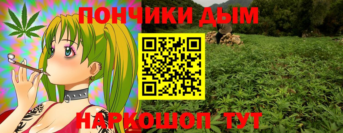 Шишки марихуана сатива Ковров